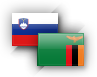 Slovenian business club Zambia